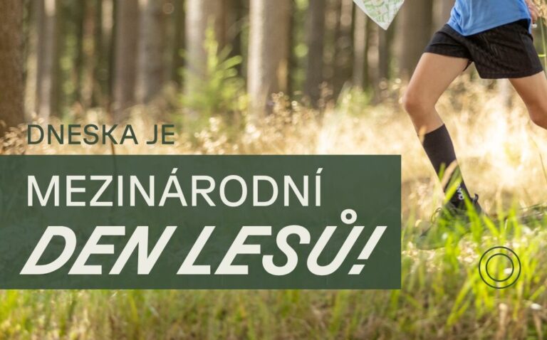 Dneska je Mezinárodní den lesů!🌲🌳