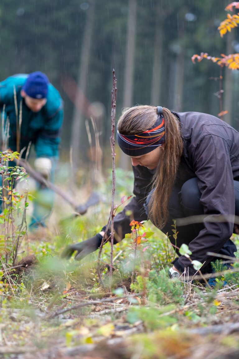 Zasaď si svůj les