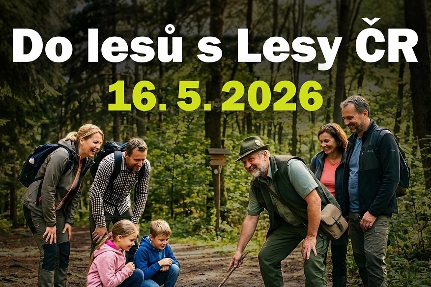 Do-lesu-s-Lesy-CR_letak-A52